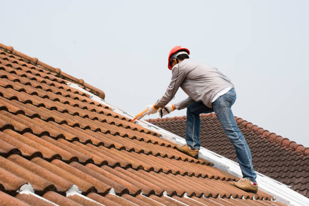 Best Roof Maintenance and Cleaning  in Ester, AK